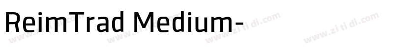 ReimTrad Medium字体转换
